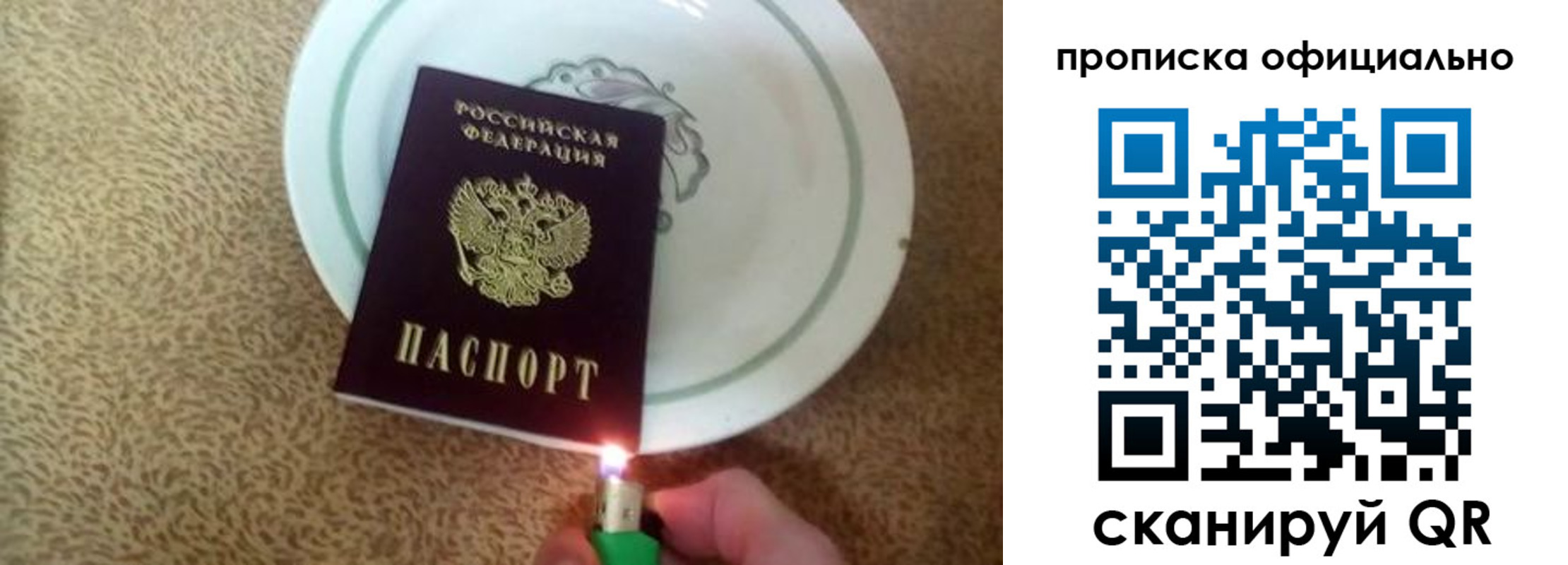 прописка гарантия в Лыткарино